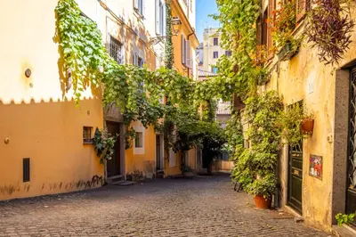 an alley in an old town with vines at Imperial Forum House in Rome