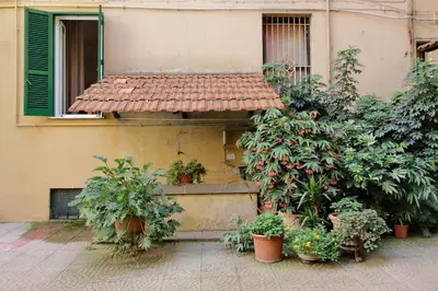 a building with a bunch of plants in front of it at Holy Mary Lovely Apartment in Rome