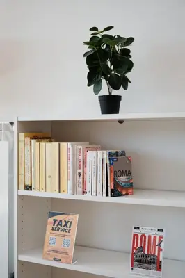 a book shelf with books and a potted plant at Trastevere-Colosseo, Elegant Apartment Wi-Fi & A-C in Rome