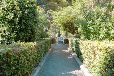 a path through a garden with bushes and trees at Tiber Luxury Apartment in Rome