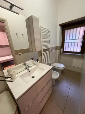 a bathroom with a sink and a toilet and a mirror at Vatican Walls Studio in Rome