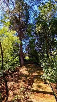 a path in a park with trees and grass at Vatican Walls Studio in Rome