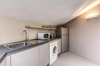 a kitchen with a sink and a washing machine at Frangipane Colosseum Apartments in Rome