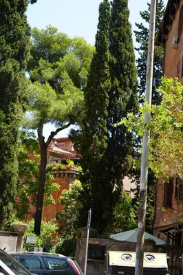 a group of trees in front of a building at Graziosa camera in posizione strategia con bagno privato esterno in Rome
