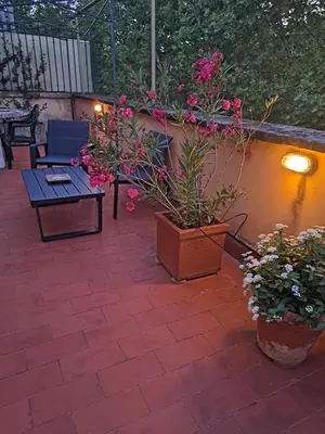 a patio with two potted plants and a table at Terrazza Trastevere Apartment in Rome