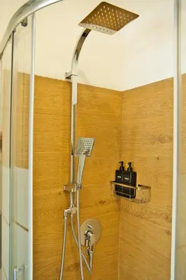 a shower with a shower head in a bathroom at Little Dome - San Pietro in Rome