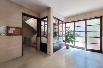 a hallway of a building with a potted plant at Flaminio Arte & Musica in Rome