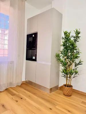 a plant in a room with a white wall at Lolus House in Rome