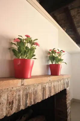 two potted plants sitting on top of a fireplace at Calisto 6 in Rome