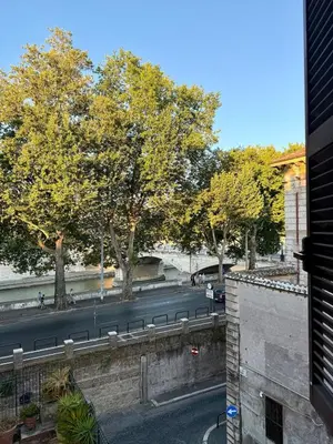 a view of a street with trees and a road at Domus Mantellate, Trastevere in Rome