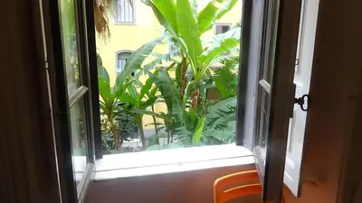 an open window with a view of a plant at Bed and Breakfast Adduci's House in Rome