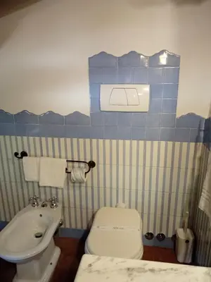 a blue and white bathroom with a toilet and a sink at Roman Babuino Inn in Rome