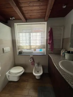 a bathroom with a toilet and a sink and a window at Cozy house with terrace in Rome