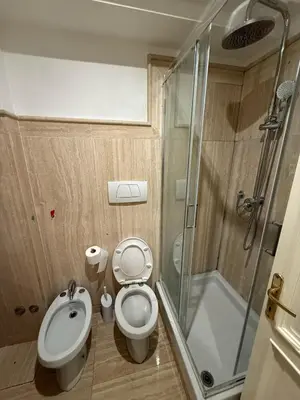 a bathroom with a toilet and a shower and a sink at Family Entire House in Rome