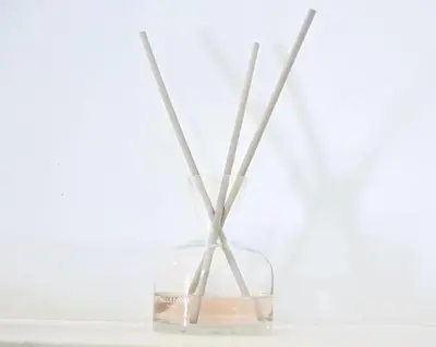 a glass vase with two sticks in it at Casa Bellezza a Cola di Rienzo in Centro in Rome