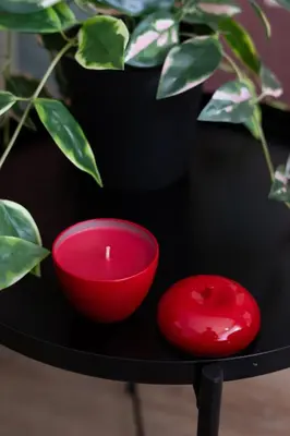 two red candles on a table with a potted plant at Yasmine Luxury Apartment in San Giovanni in Rome