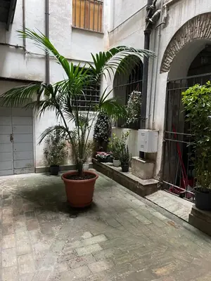 a plant in a large pot in front of a building at Piazza Farnese in Rome
