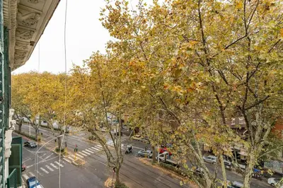 an overhead view of a city street with trees at Walking to Trastevere di Marialaura Aragno in Rome