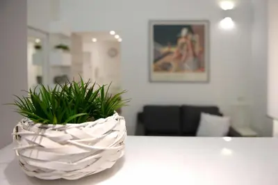 a plant in a basket sitting on a table at Castelfidardo Apartment in Rome