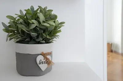 a plant in a white vase with a tag on it at Castelfidardo Apartment in Rome