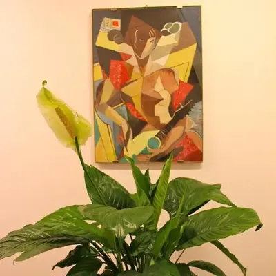 Lo Studio Guest House