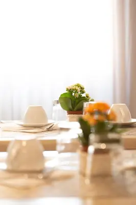 a table with plates and dishes and a plant on it at Vatican City Relais in Rome