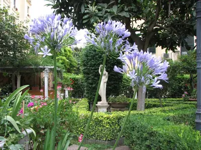 a garden with purple flowers and a statue at Villa Matissa in Rome