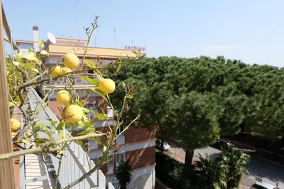 a lemon tree in front of a building at Terrazza sul Parco in Rome