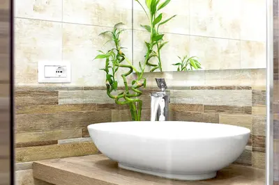 a bathroom with a white sink and a plant at Homs Sweet Home in Rome