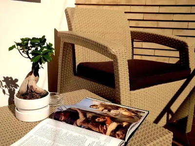 a book sitting on a chair next to a plant at Homs Sweet Home in Rome