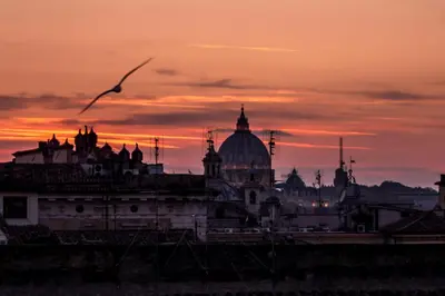 a city skyline at sunset with a bird flying at Sant'Ivo Apartments in Rome