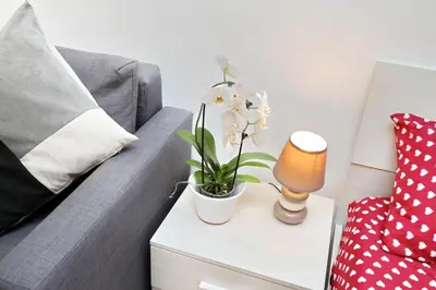a living room with a couch and a table with a plant on it at Holiday rental San Lorenzo district in Rome