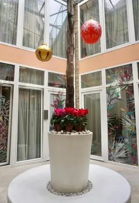 a planter with red flowers on a table in front of a building at Hotel Vespasiano in Rome