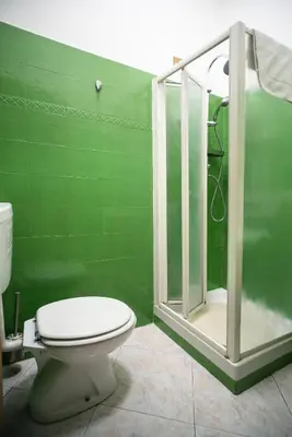 a green bathroom with a toilet and a shower at Merulana Star in Rome