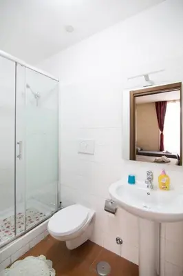 a bathroom with a toilet and a sink and a shower at Roma Enrico Guesthouse in Rome