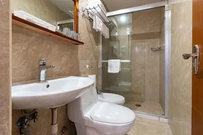 a bathroom with a sink and a toilet and a shower at Leone D'Oro GUESTHOUSE - close to Piazza Vittorio in Rome
