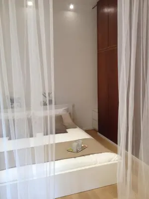 a bedroom with a bed with a curtain at White Apartment in San Giovanni in Rome