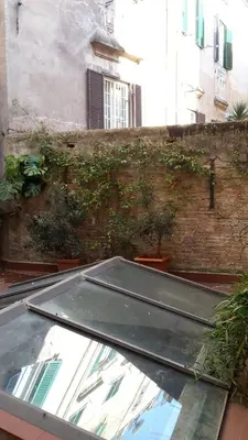 a glass roof of a building with plants on it at Cozy Navona Apartment in Rome