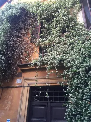 a building with a bunch of flowers growing on it at MGPgroup Guest House Navona 2 in Rome