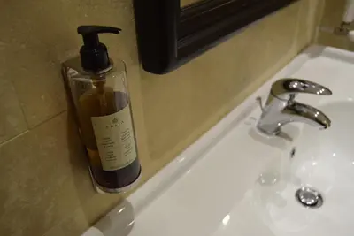 a bottle of soap sitting on a bathroom sink at Hotel Tito in Rome