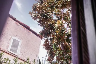 a tree next to a building with a window at TrastevereHome - Peretti Rome in Rome