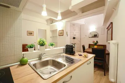 a kitchen with a stainless steel sink in a room at Labicana Apartment in Rome