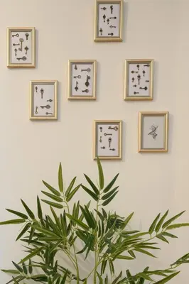 a plant in front of a wall with framed pictures at Studio via Nicola Fabrizi in Rome