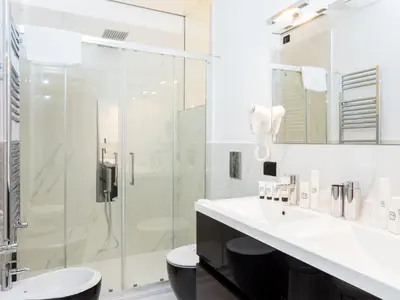 a bathroom with a shower and a sink at Queen Palace Suites in Rome