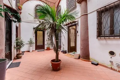 a palm tree in a courtyard in a building at Diecipassi dal Colosseo in Rome