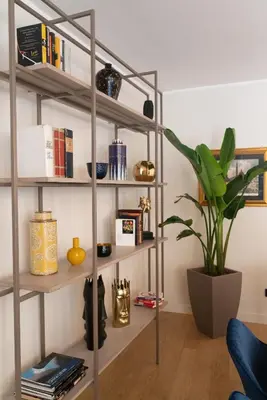 a shelf with books and a plant in a room at 9Hotel Cesari in Rome
