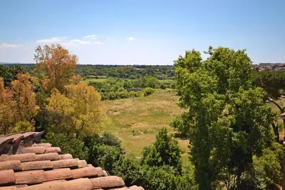 a view of a field and trees from a roof at Hotel Cilicia in Rome