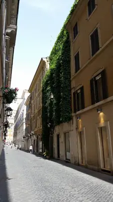 a ivy covered building on a street in a city at Hotel Croce Di Malta in Rome