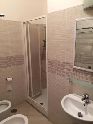a bathroom with a shower and a sink and a toilet at Albergo Enrica in Rome