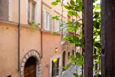 a view of a street with a building and a tree at Baldassini Suites in Rome